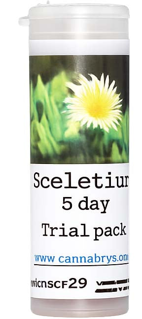 Sceletium Capsules image 4