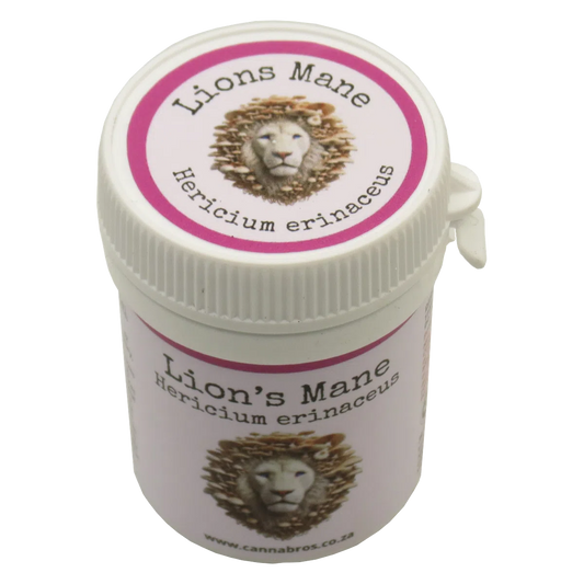 Lions Mane Capsules image 0